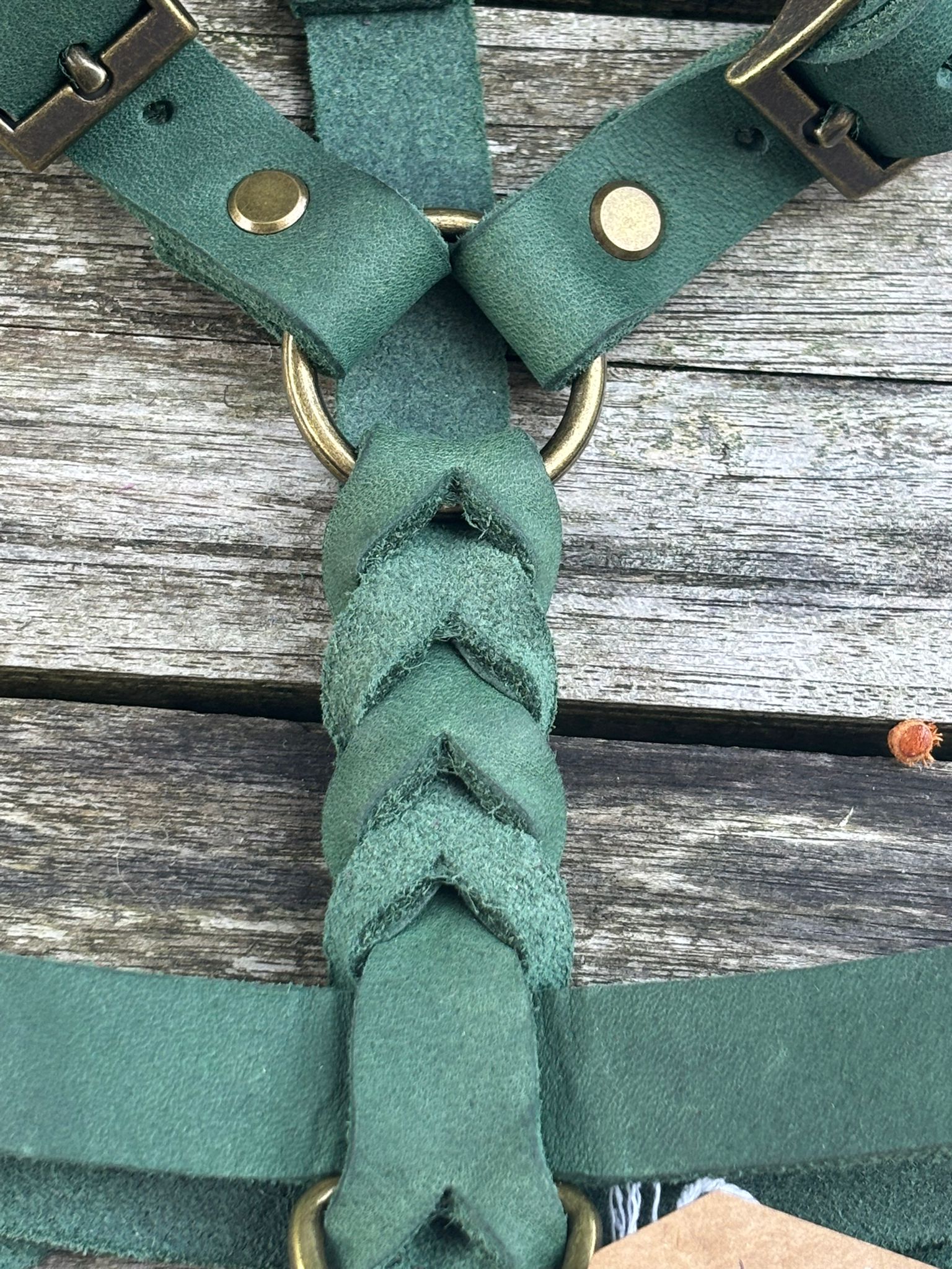 Lilypatch Forest Green thumbnail